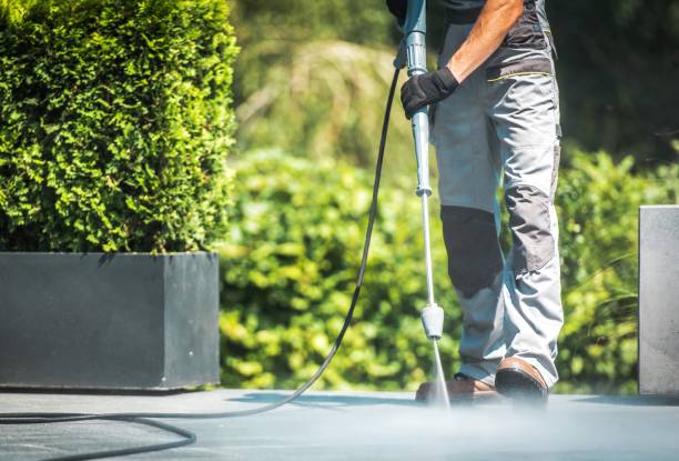 Best Roof Washing  in Lake Kiowa, TX