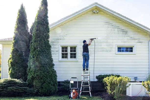Best Solar Panel Cleaning  in Lake Kiowa, TX